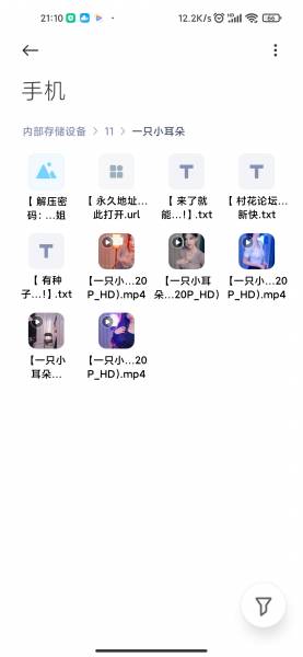 【自行打包】抖音 一只小耳朵诱惑舞蹈5v 百度云