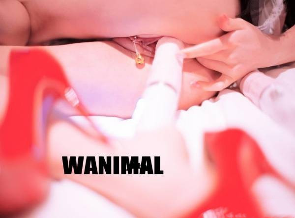 摄影大师 王动WANIMAL 72.5G