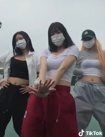 [已补]国际tiktok抖音风 羞耻顶胯舞 抬奶舞 弹力乳揺最新合集 [118V+1.1G][百度云]