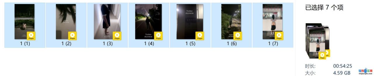 【推特 林淑怡】 LSY856 户外露出 马路 公园 楼道 公厕 啪啪【4.6G】