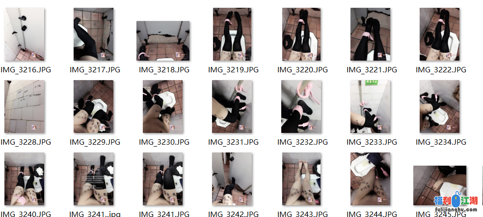 猫奴Y【208P+23V】【603MB】