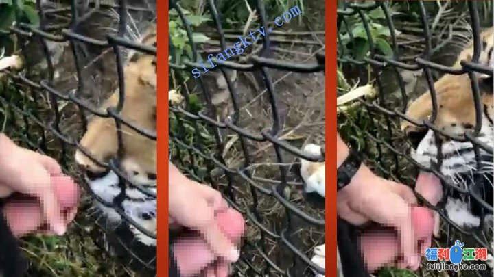 █魔手☛外购█即日更新《疯狂抖音》（狠人）【4.8G】