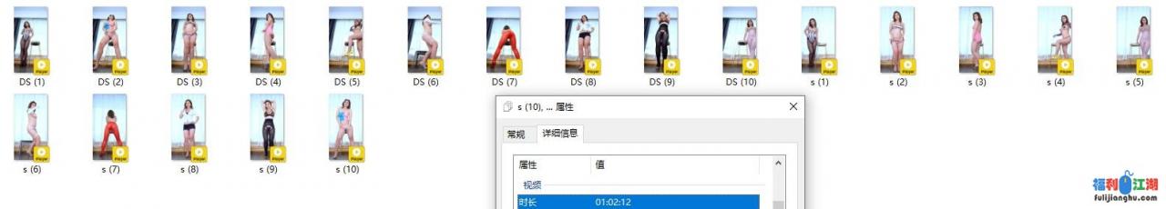 新维拉舞团 依波加密特期一 会员版巨乳摇摆黑毛舞动 20V【4G】